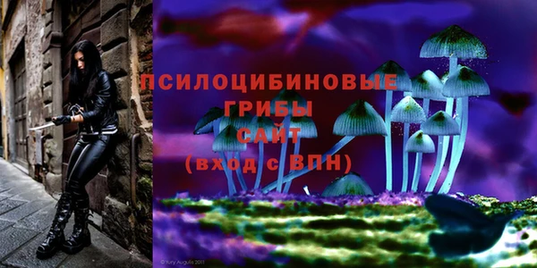 PSILOCYBIN Бугульма